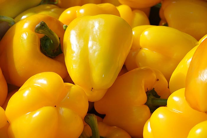 Peppers, Sweet Yellow Bell Capsicum annuum