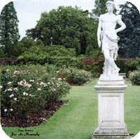 Rose Garden with roman statue