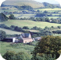 Wiltshire Countryside