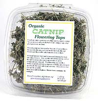 Organic Catnip Flowering Tops