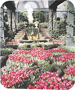 French Knott Garden