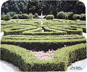 Maze Garden