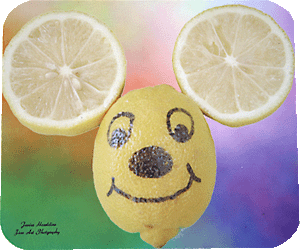 Lemon Mouse Face