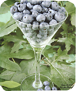Glass of Blueberries