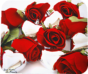 Roses and Silver Hearts
